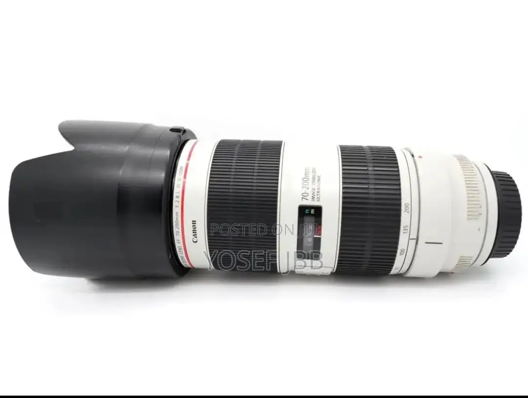 Zebra Lens 70-200mark 3