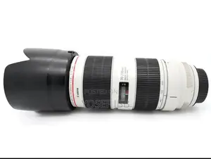 Photo - Zebra Lens 70-200mark 3