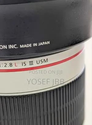 Zebra Lens 70-200mark 3