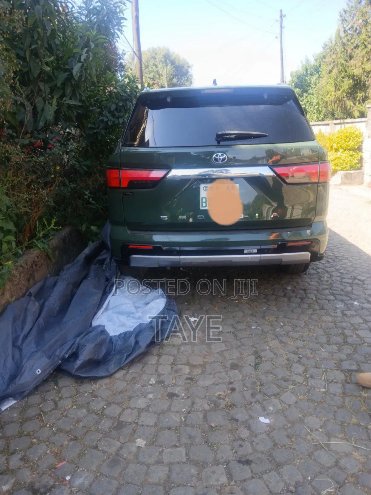 New Toyota Sequoia 2024 Green