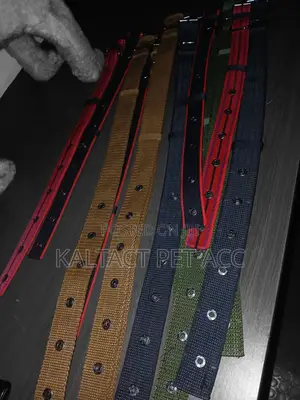 Heavy Duty Dog Collar