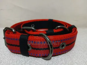 Photo - Heavy Duty Dog Collar