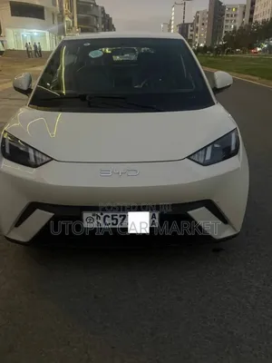 Photo - BYD Seagull 2024 Ivory