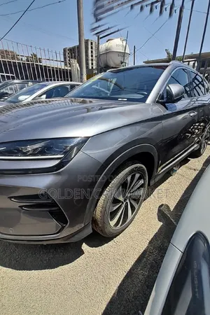 New BYD Song Plus 2024 Gray