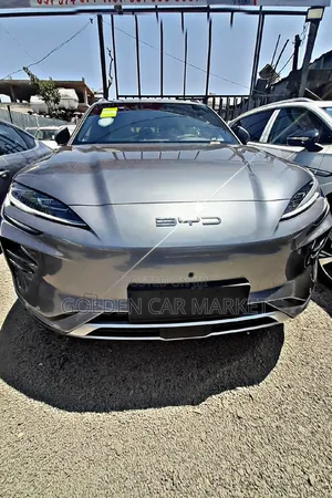 New BYD Song Plus 2024 Gray