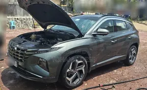 Hyundai Tucson 2021 Blue