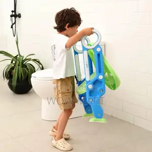 2 in 1 Potty Training