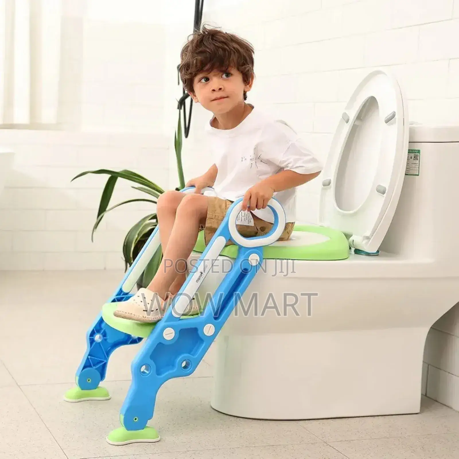 2 in 1 Potty Training