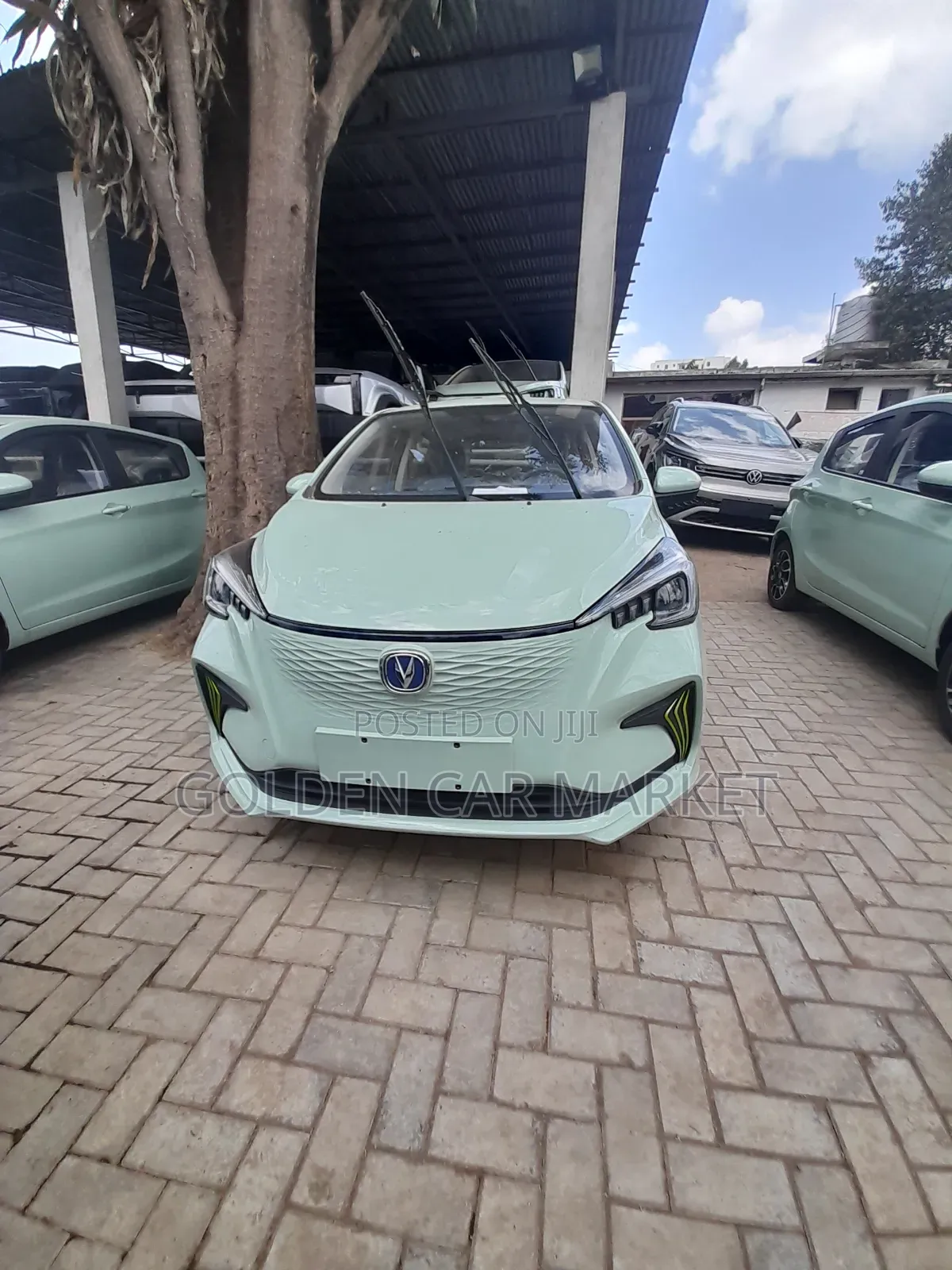 New Changan BenBen E-Star 2023 Green