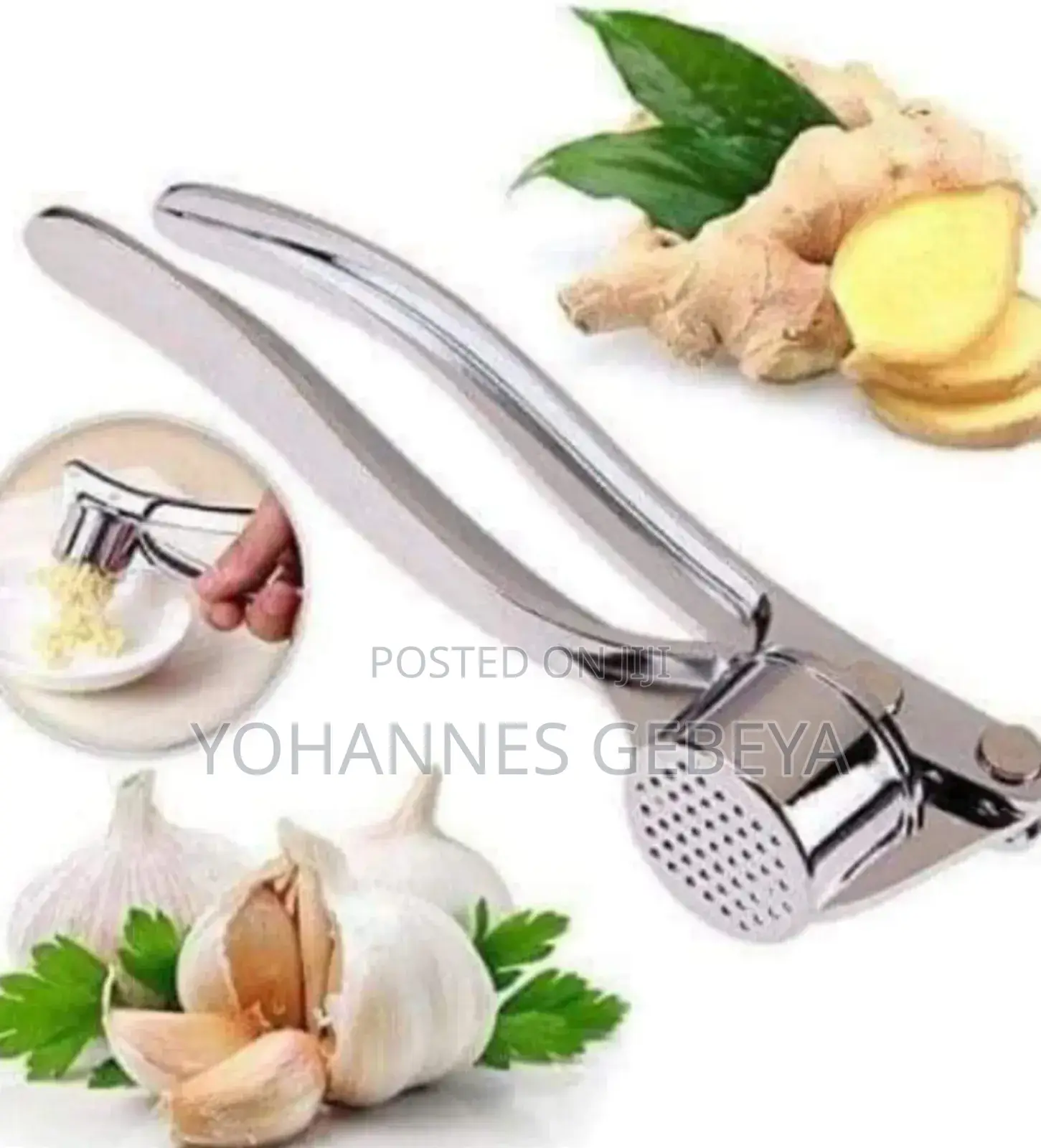 Stainless Steel Garlic Press
