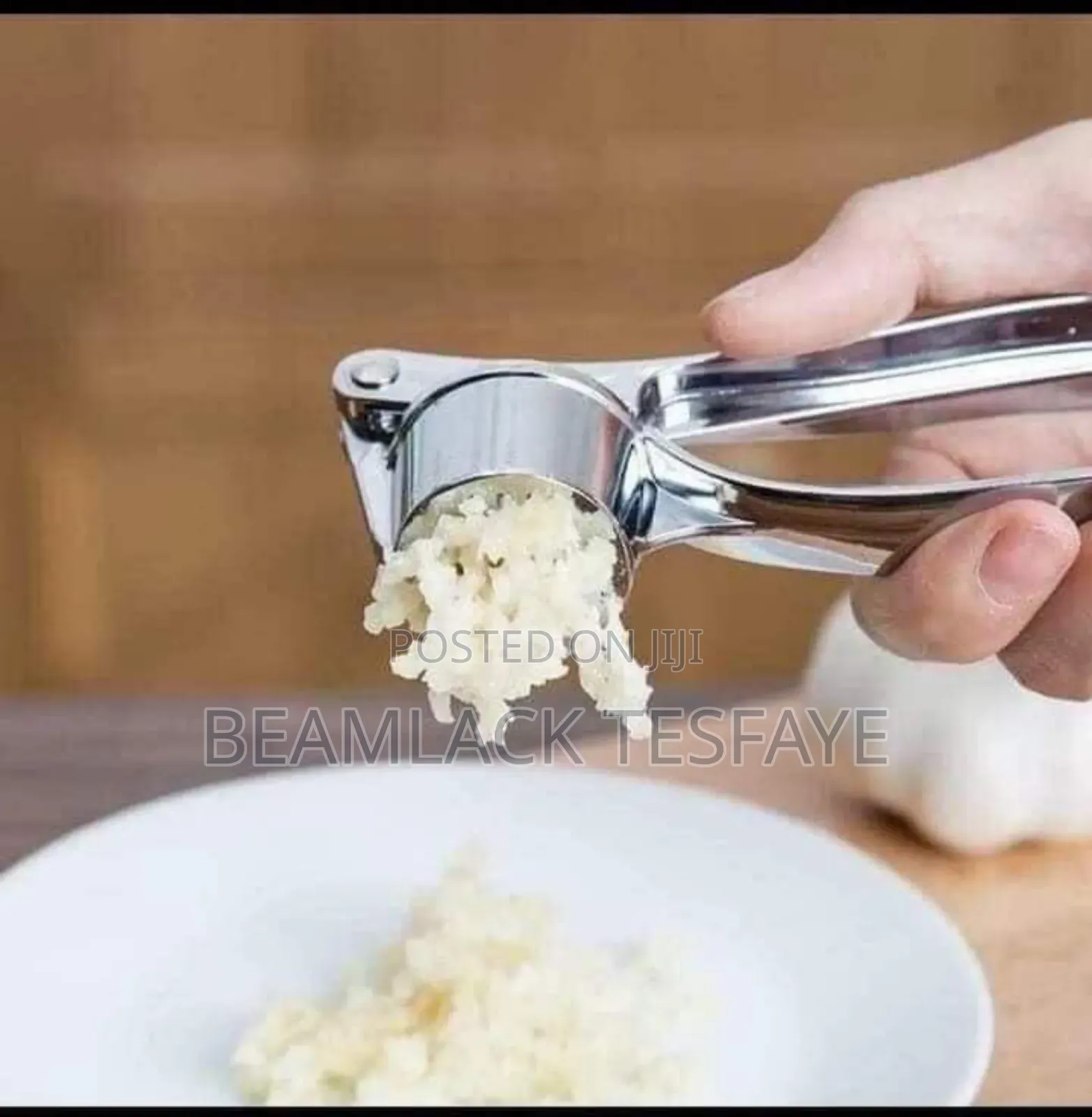 Stainless Steel Garlic Press