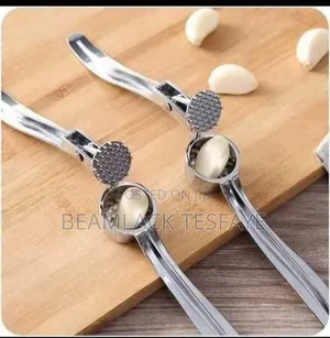 Stainless Steel Garlic Press