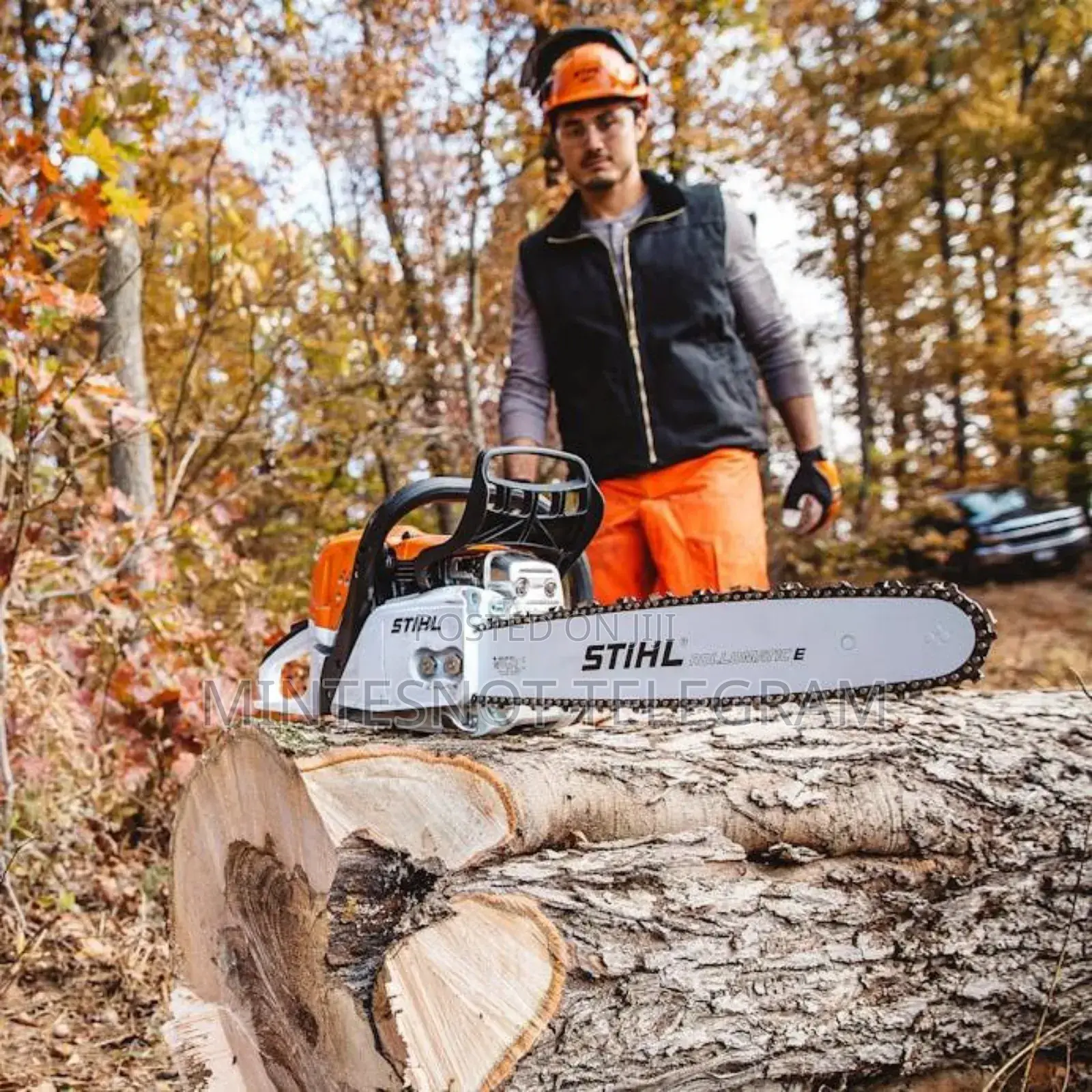 Stihl Chainsaw
