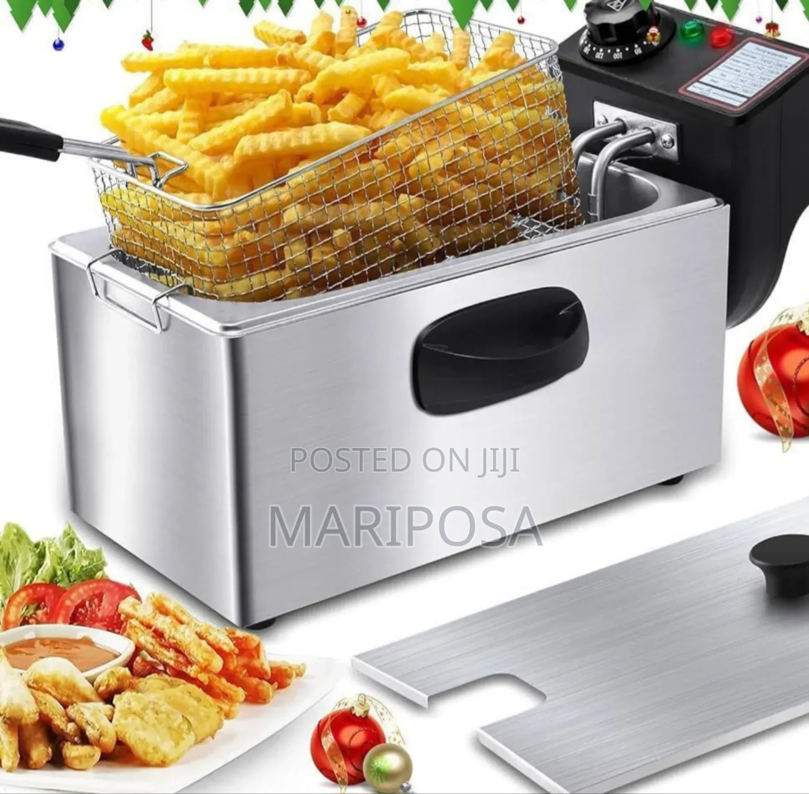 Electric Deep Fryer