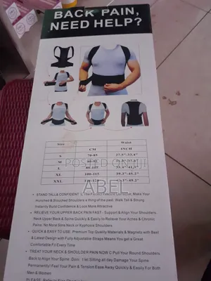 የጀርባ ማስተካከያ