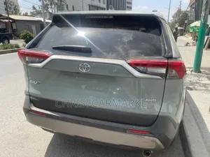 Toyota RAV4 LE AWD 2019 Green