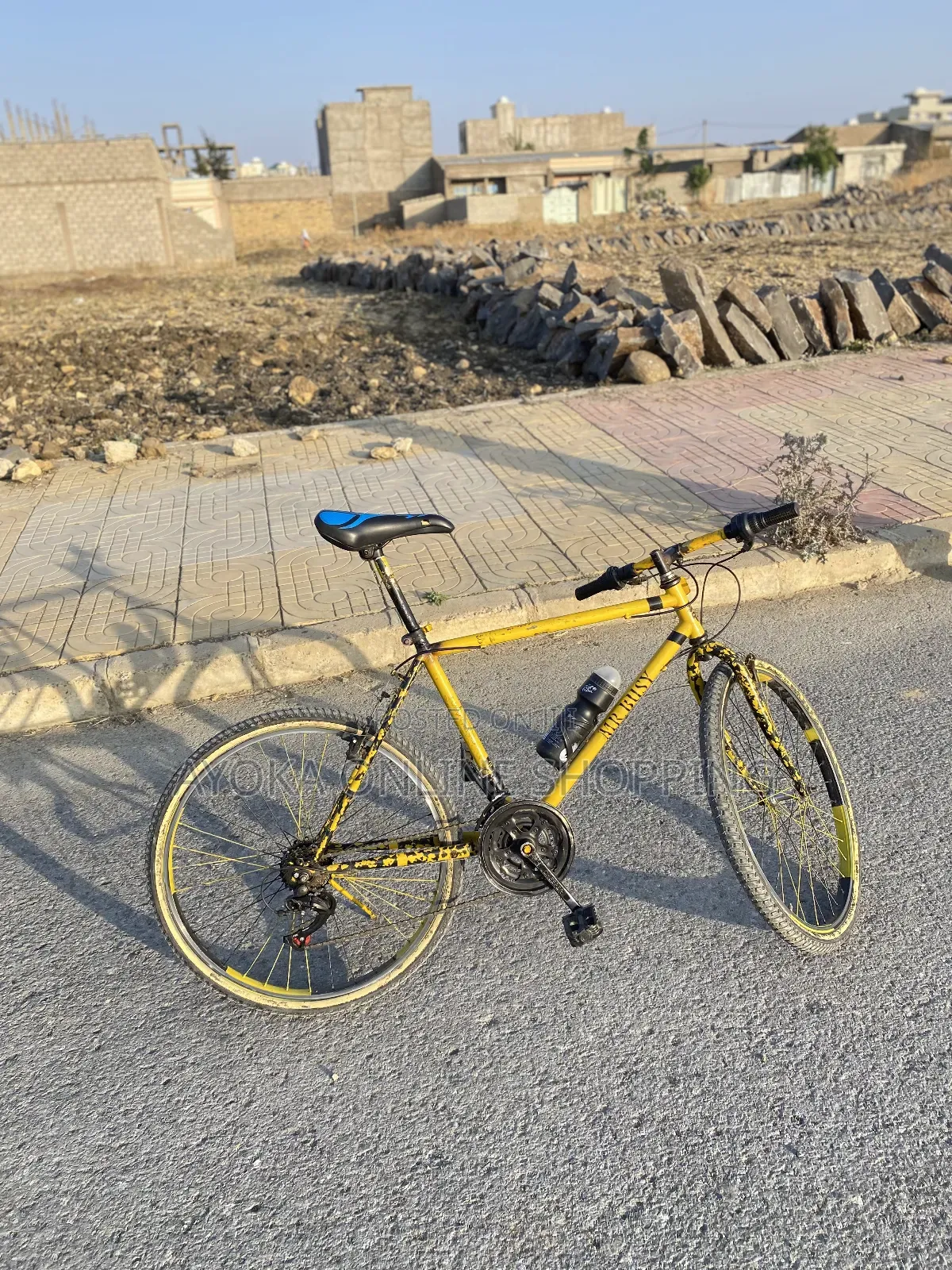 Phoenix  Bicycle Custom Colours.