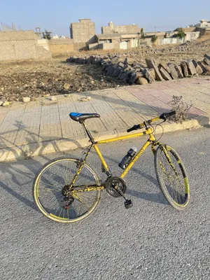 Photo - Phoenix  Bicycle Custom Colours.