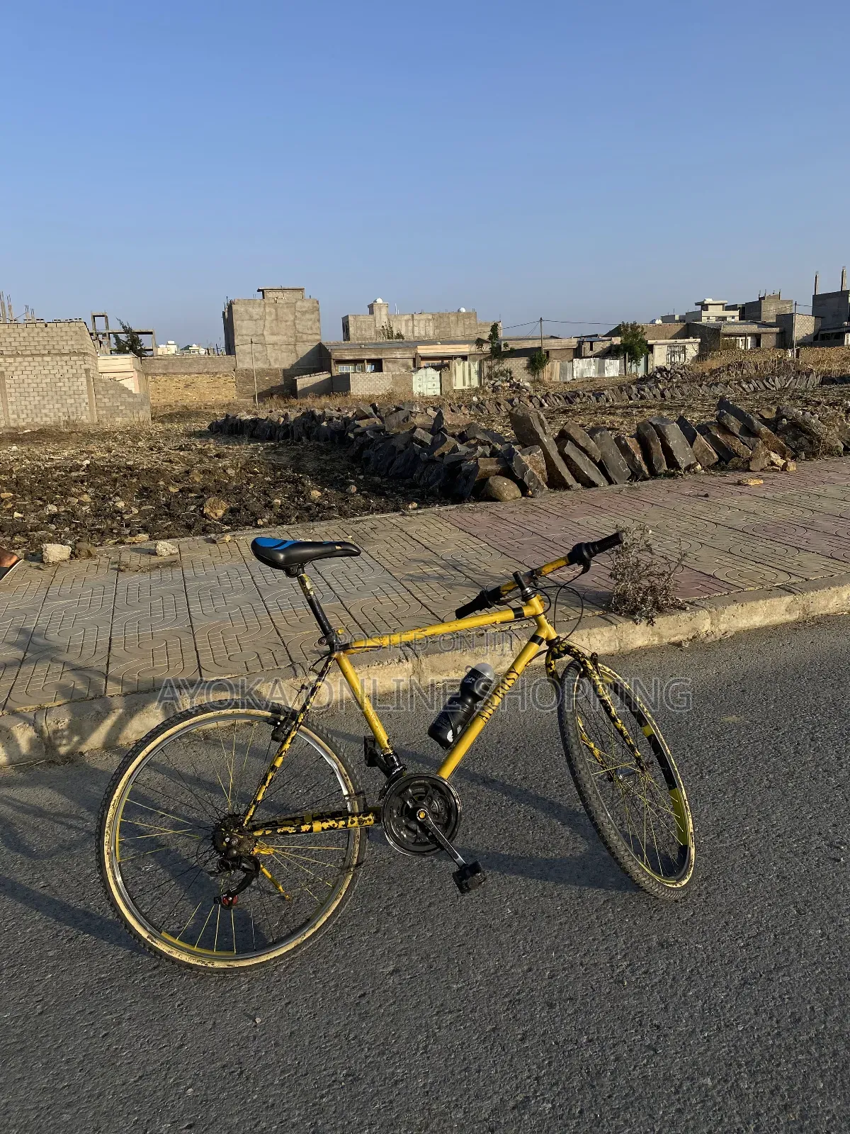 Phoenix  Bicycle Custom Colours.