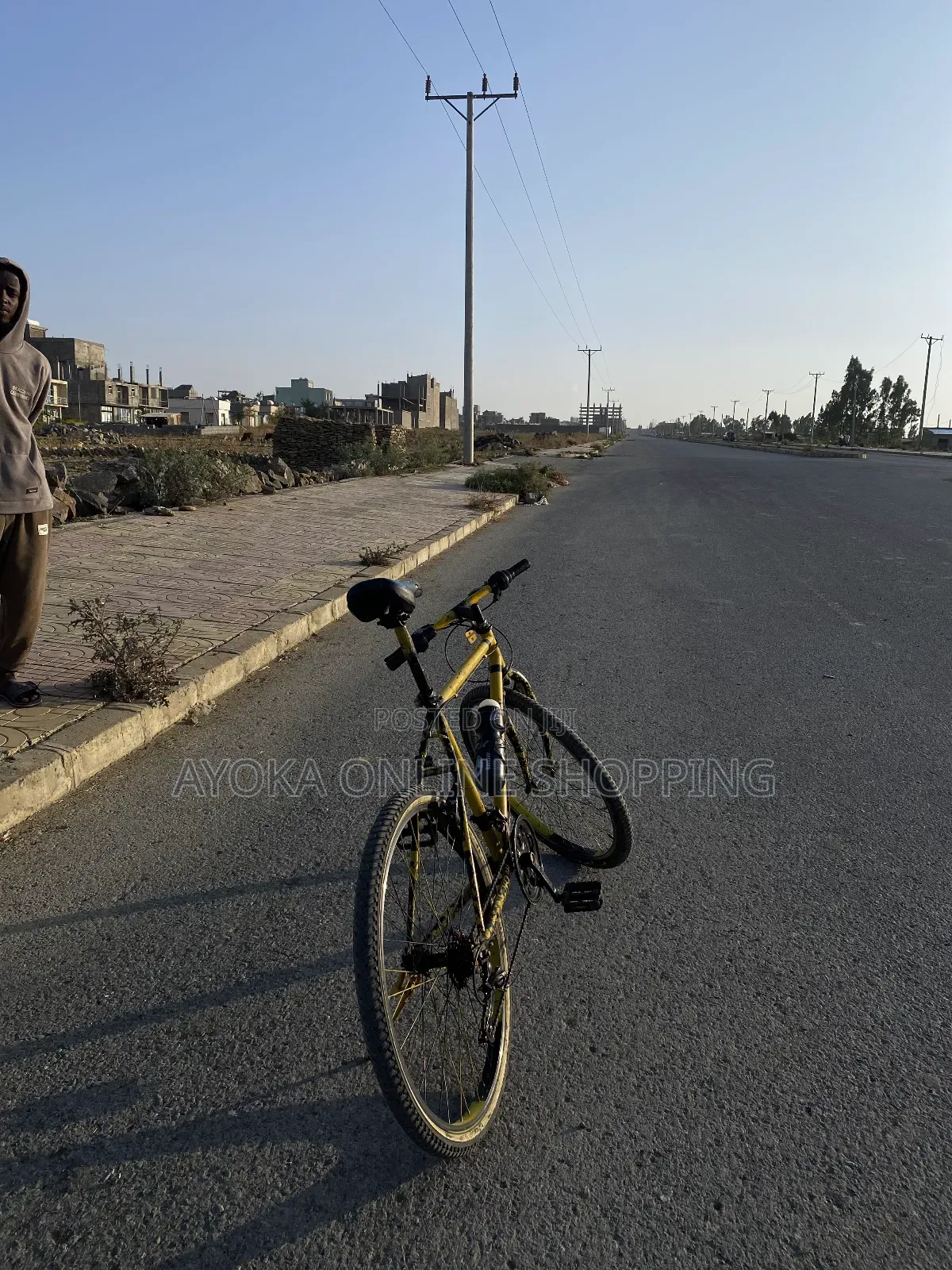 Phoenix  Bicycle Custom Colours.