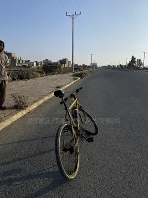 Phoenix  Bicycle Custom Colours.