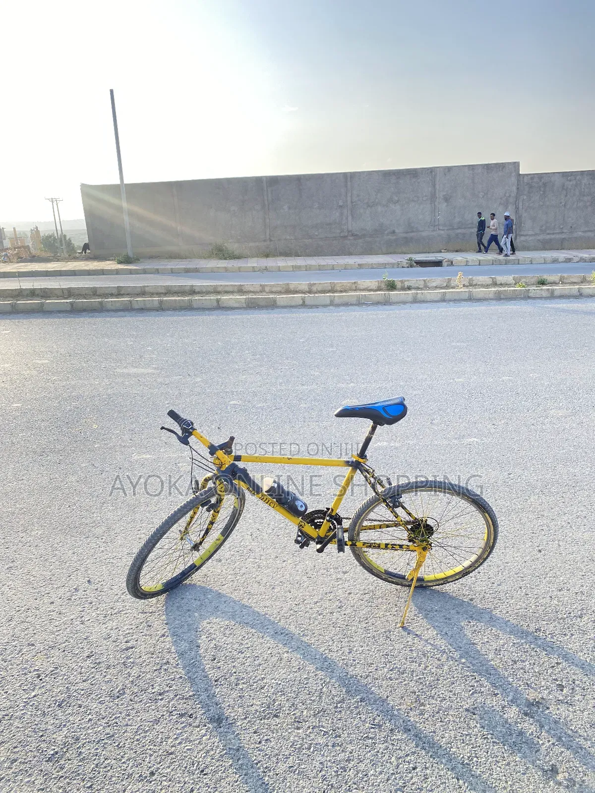 Phoenix  Bicycle Custom Colours.