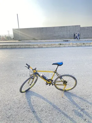 Phoenix  Bicycle Custom Colours.