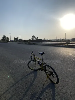 Phoenix  Bicycle Custom Colours.