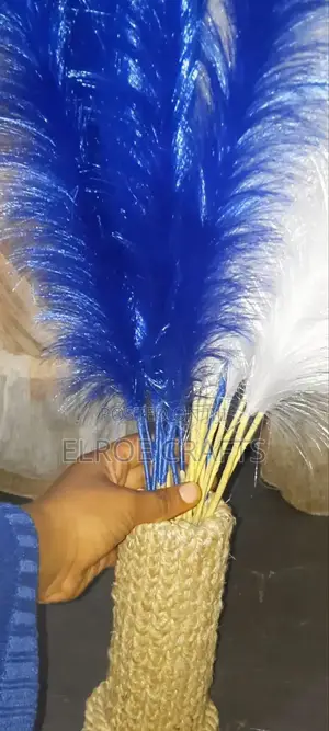 Photo - Ribbon Pampas