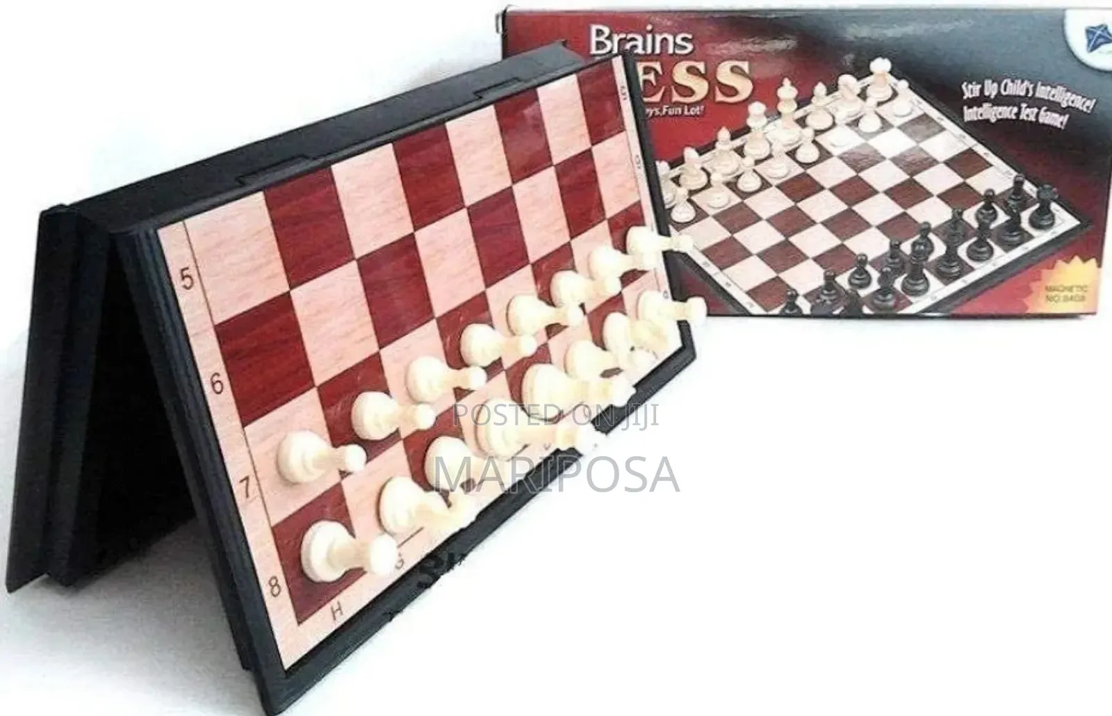Foldable Chess Set