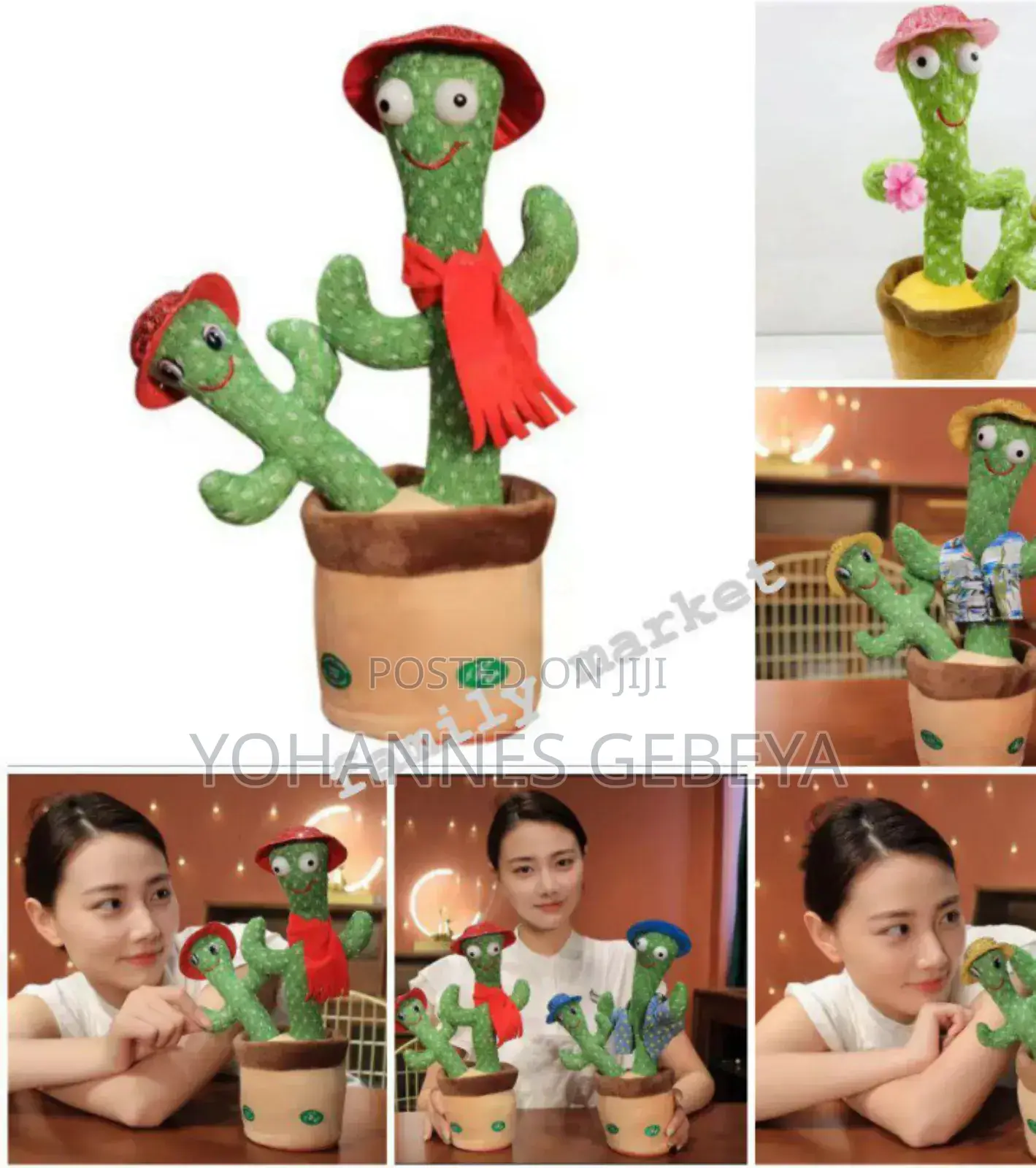 Dancing Cactus Toys