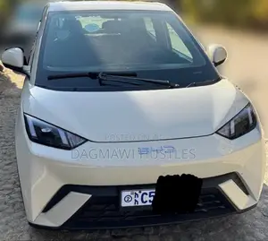 Photo - BYD Seagull 38 kWh FWD 2024 Ivory