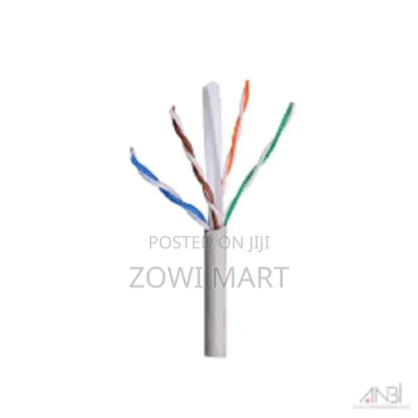 Intex Cat 6e High Speed Network Cable