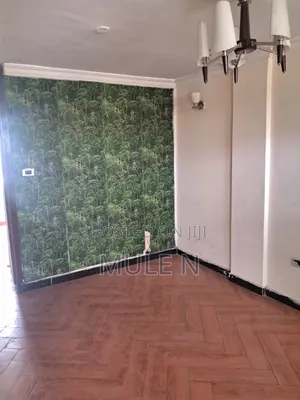 Furnished 3bdrm Condo in Abado Condominium, Yeka for sale