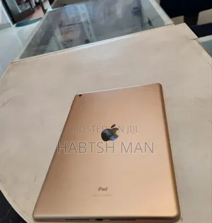 New Apple iPad 10.2 (2019) 128 GB Gray
