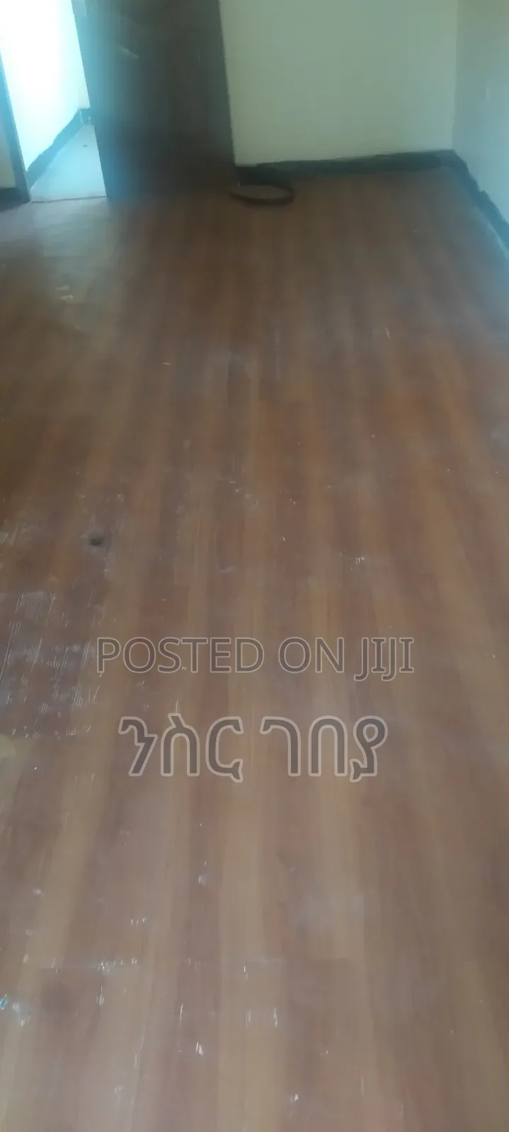 Furnished 1bdrm Condo in Ayat Tsebel, Yeka for rent