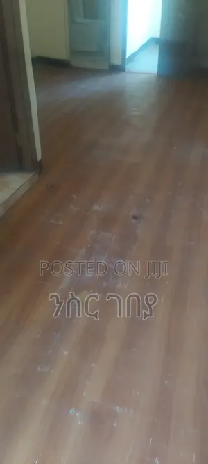 Furnished 1bdrm Condo in Ayat Tsebel, Yeka for rent