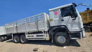 Photo - Model_2024 Casoni With Trailler