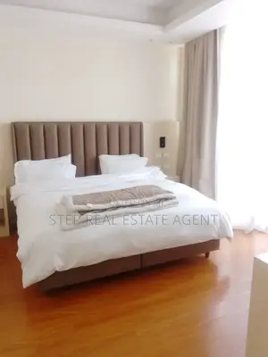 Furnished 2bdrm Apartment in Bole for rent