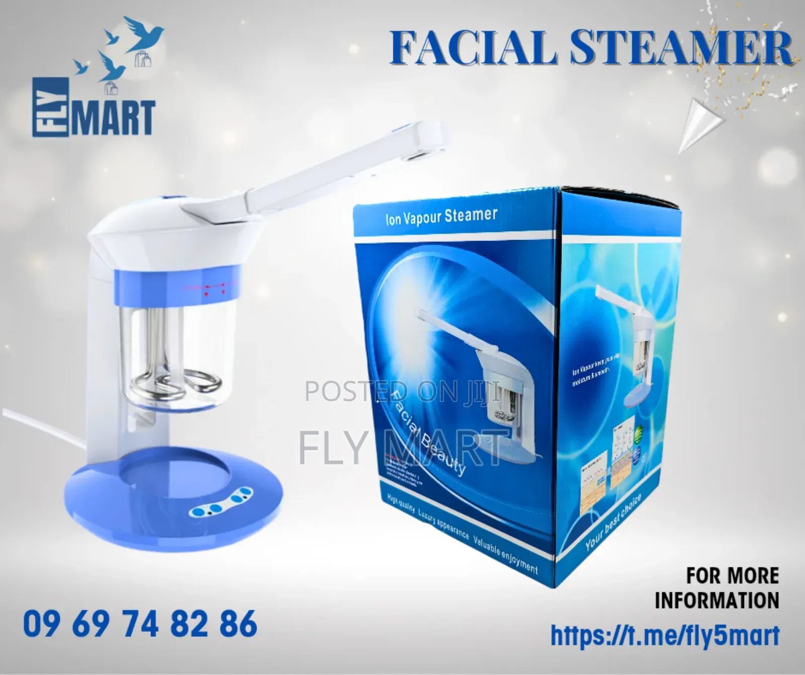 Facial Steamer