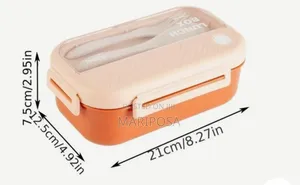 ፕላስቲክ የምሳ ዕቃ
