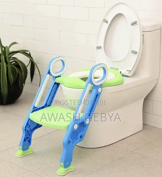 2 in 1 Potty Training