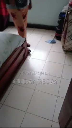 Furnished 2bdrm Condo in Akaky Kaliti for sale