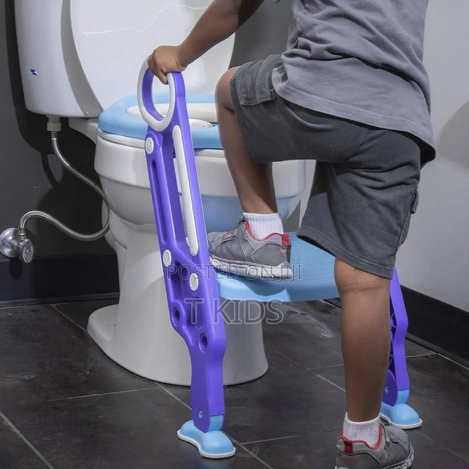 Potty Training Seat