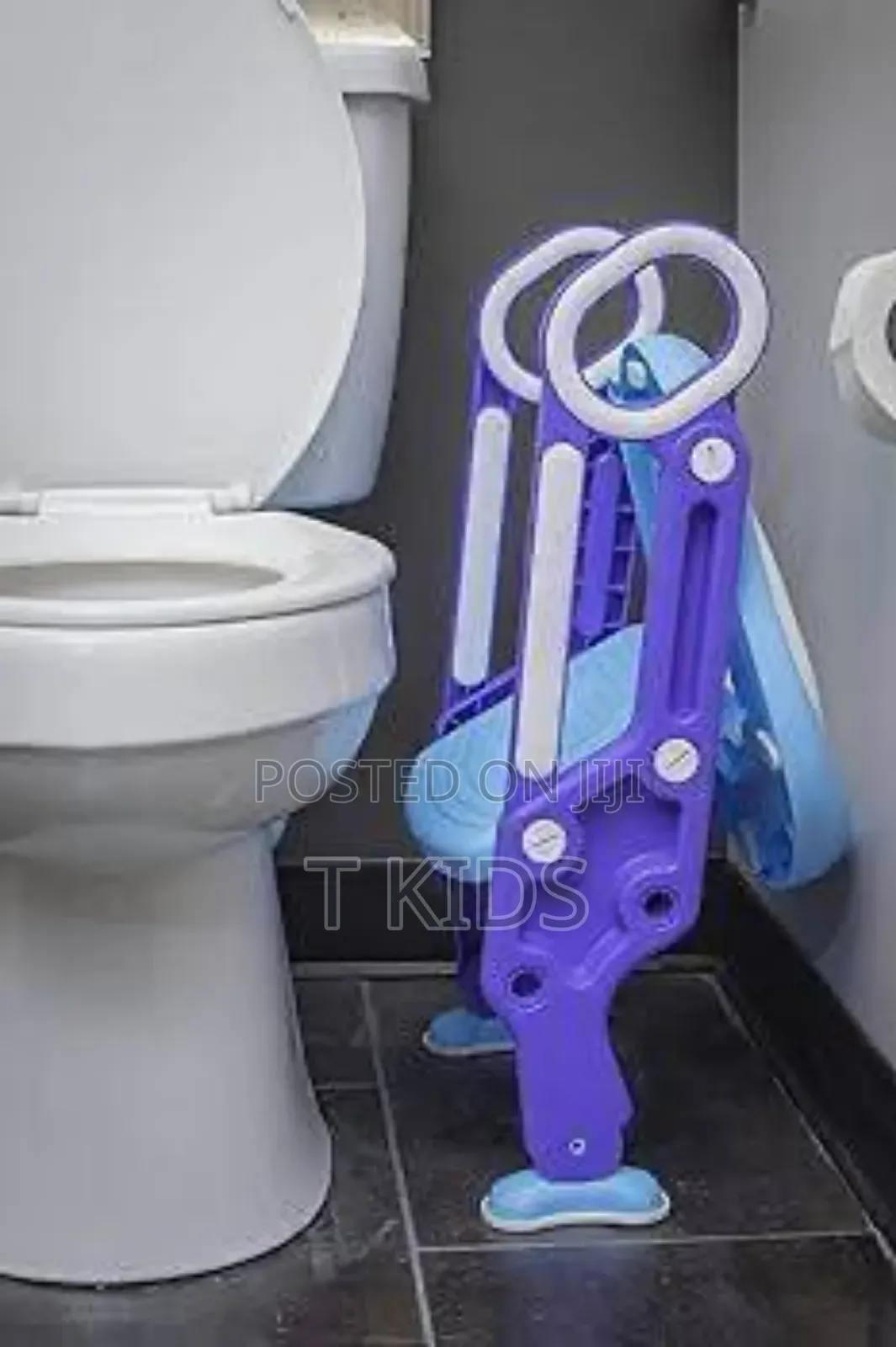 Potty Training Seat