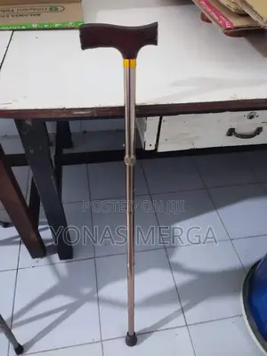 Photo - Walk;Changing Lives Walking Stick With Adjustable Strong