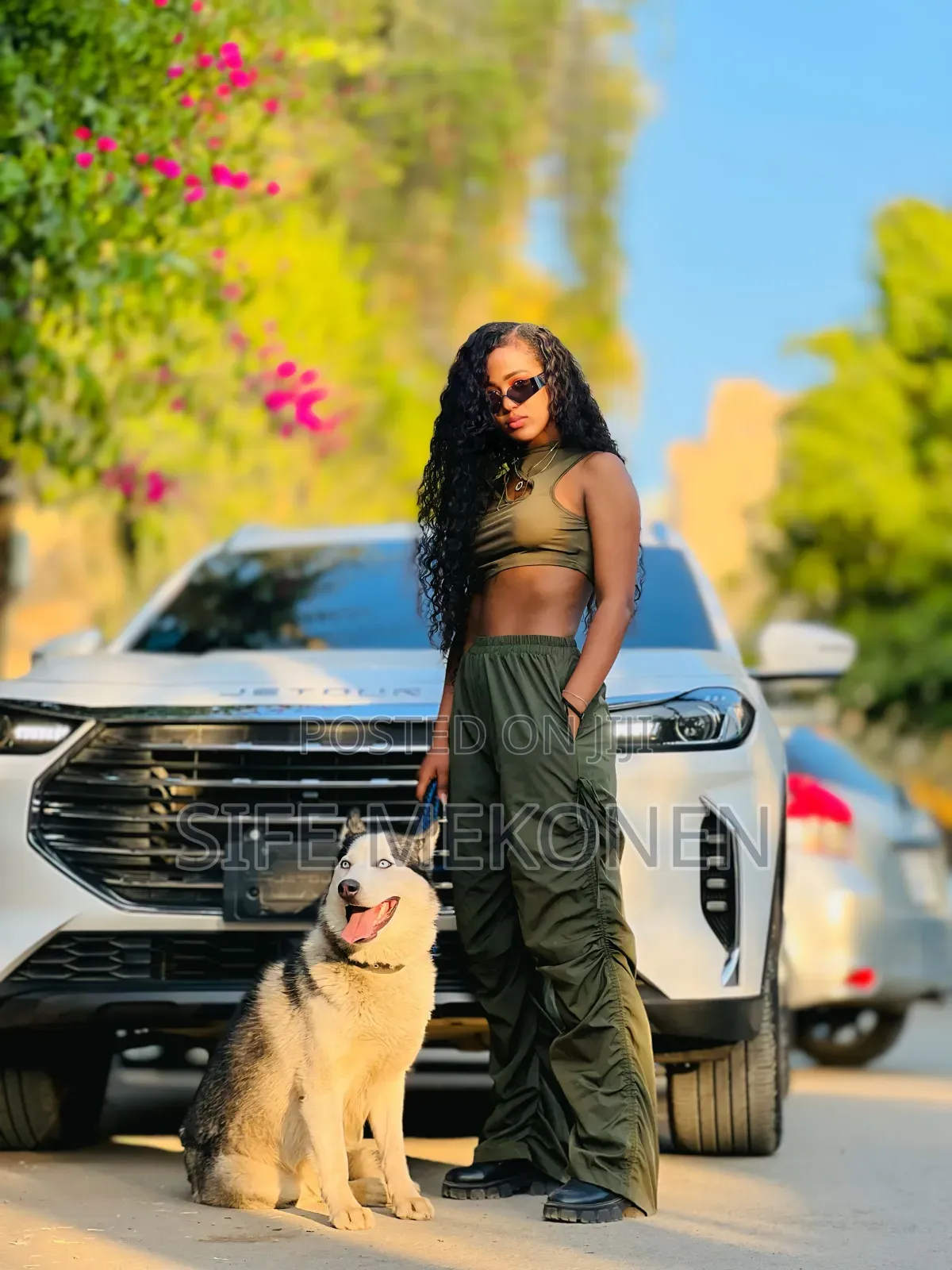 1-3 months Male Purebred Siberian Husky