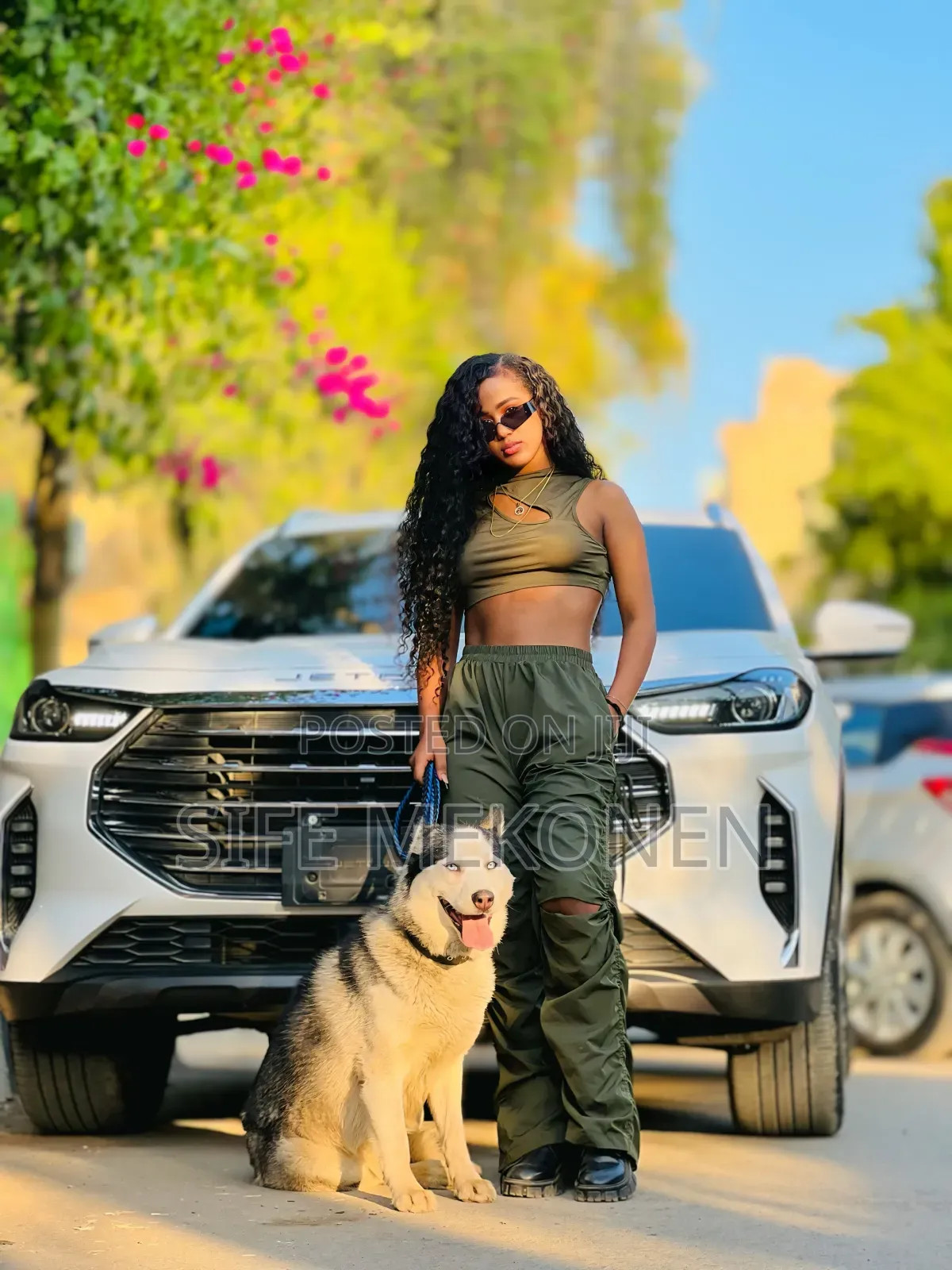 1-3 months Male Purebred Siberian Husky