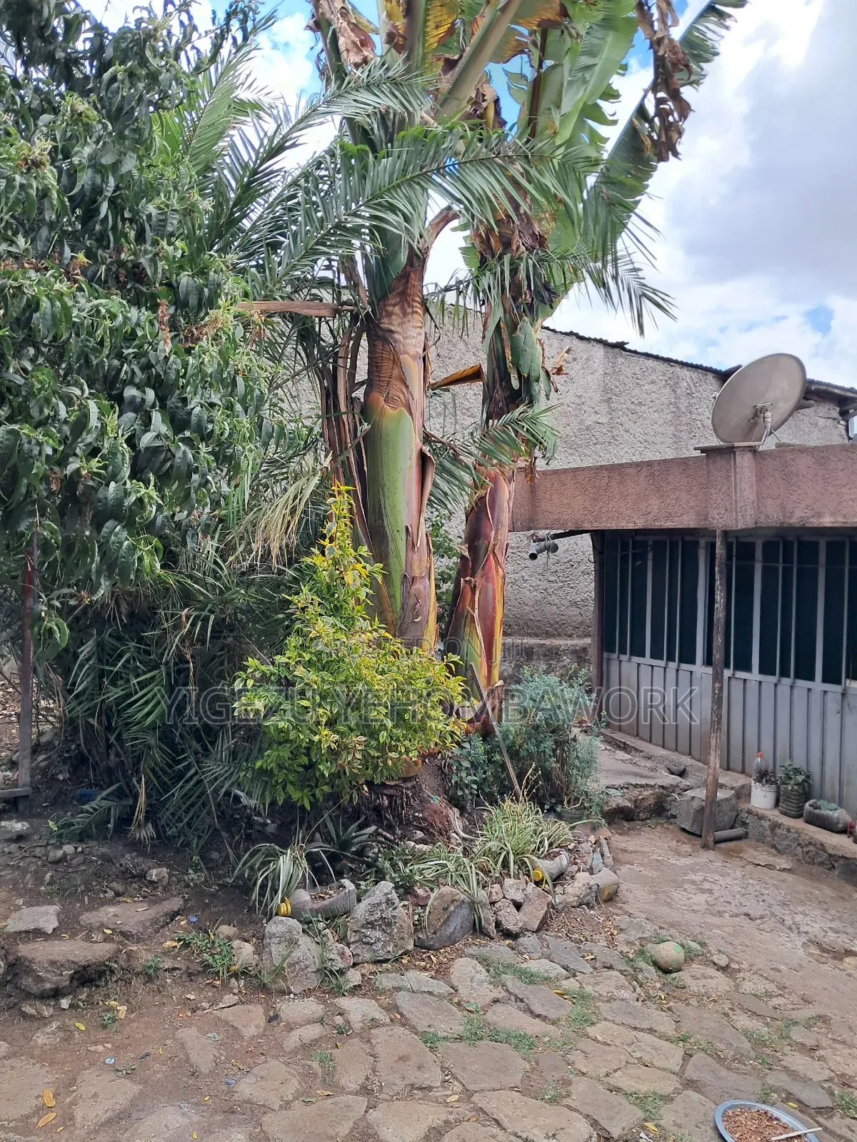 Land for Sale at Asco Gebreal (258sq M.) Gullele 05