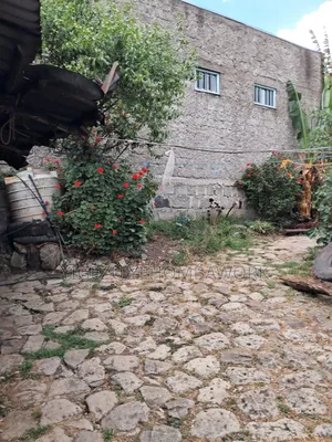 Land for Sale at Asco Gebreal (258sq M.) Gullele 05